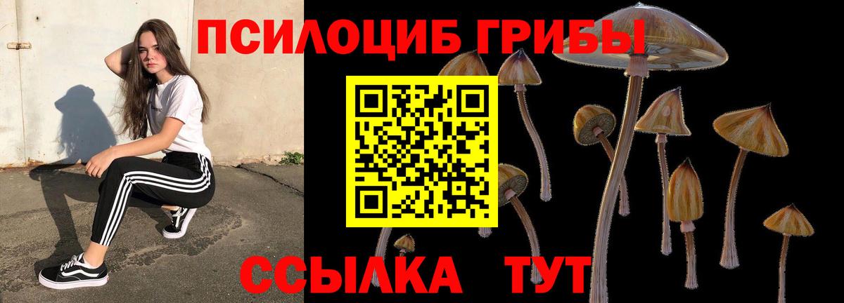 Узловая  Галлюциногенные грибы мицелий  Вход с VPN 